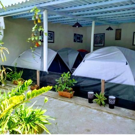Camping Conforto Ypê Branco Paraty Exterior foto